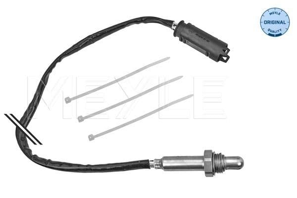 Oxygen Sensor