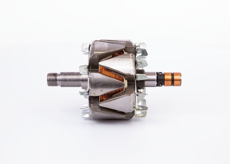 Alternator rotor