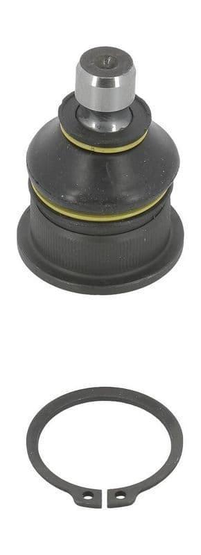 Kogelgewricht van de as Links/Rechts (bodem voor) (diameter kegel 16mm) past: RENAULT MEGANE II, SCENIC I 1.4-2.0 11.00-02.08