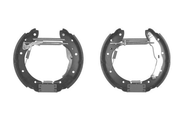 Brake shoe set