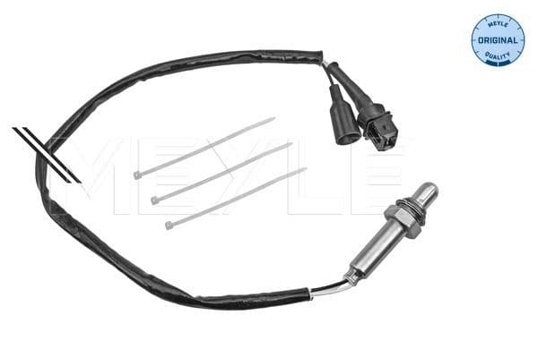 Oxygen Sensor