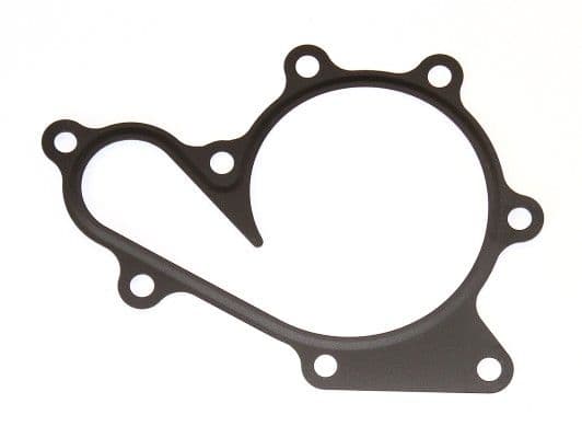 Water pump gasket