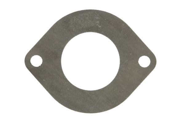 Water pump gasket
