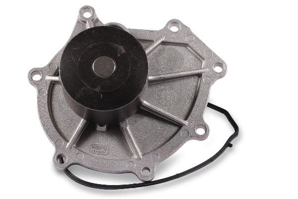 Waterpomp, met pakking past: LAND ROVER FREELANDER I  MG ZS, ZT, ZT- T  ROVER 45 I, 75, 75 I, 800 2.0/2.5 02.96-10.06