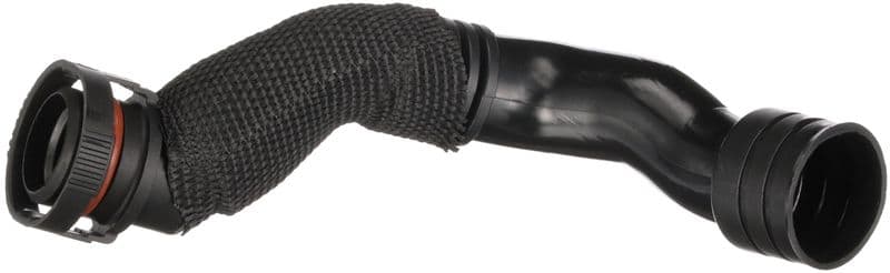 Hose, cylinder head cover ventilation