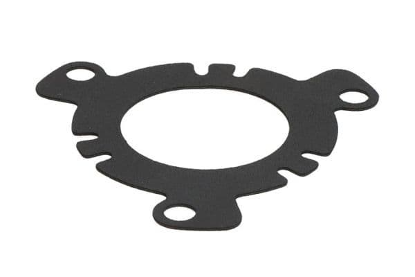 Seal, injection pump