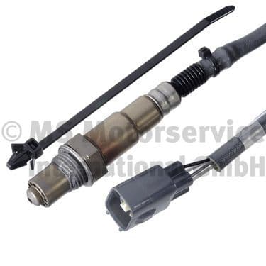Oxygen Sensor