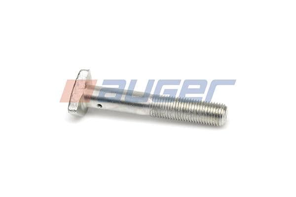Wheel bolt