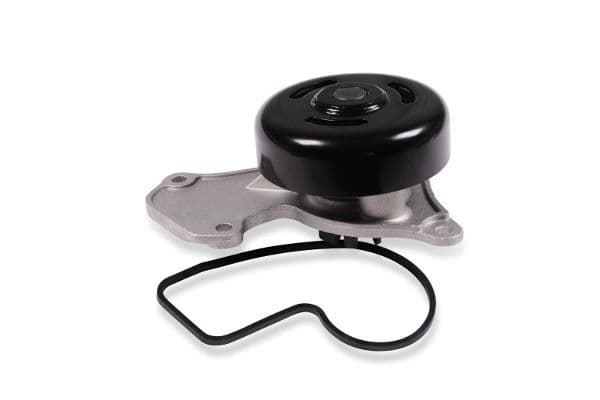 Waterpomp, met pakking past: DACIA LOGAN II, LOGAN MCV II, SANDERO II, SANDERO III  NISSAN MICRA V  RENAULT CLIO V, SANDERO/STEPWAY II, THALIA III, TWINGO III 1.0 12.16-