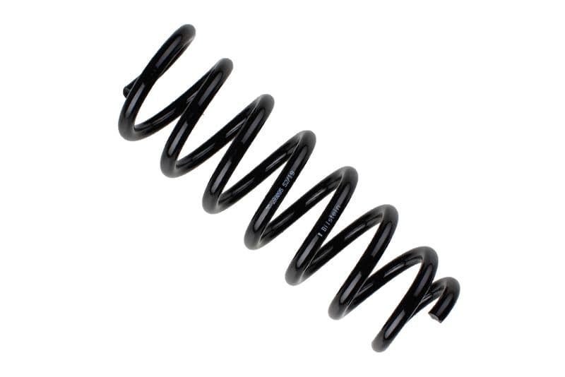 Coil spring
