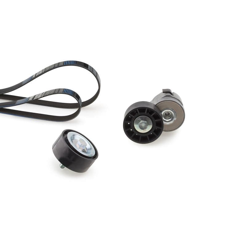 V-snaren set (met rollen) past: IVECO DAILY III, DAILY IV 2.3D 09.02-08.11