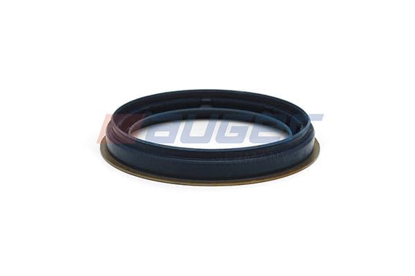 Seal Ring, steering knuckle