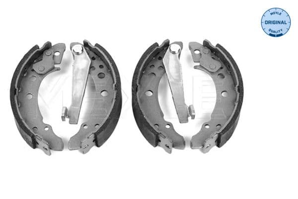 Brake shoe set