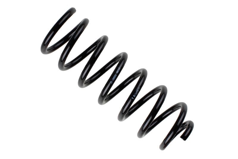Coil spring