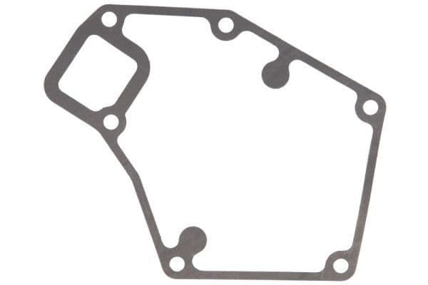 Water pump gasket