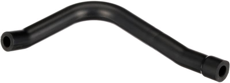 Hose, cylinder head cover ventilation