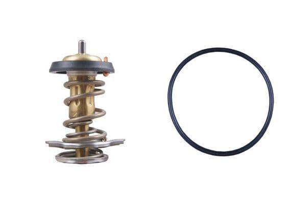 Thermostaat koelsysteem (82°C, met pakking, patroon) past: IVECO DAILY III, DAILY IV, DAILY V, DAILY VI  FIAT DUCATO  RENAULT TRAFIC II F1AE0481A-F9Q760 03.01-