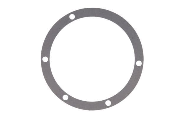 Water pump gasket