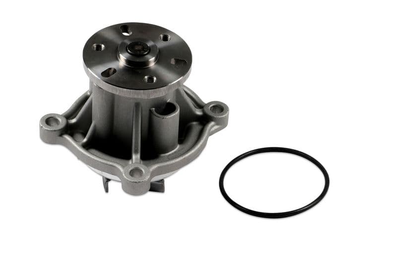 Waterpomp, met pakking past: LAND ROVER RANGE ROVER III, RANGE ROVER IV, RANGE ROVER SPORT II 4.4D 07.10-03.22