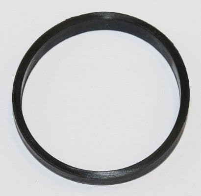 Gasket, coolant flange